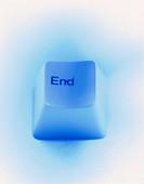                                                           End