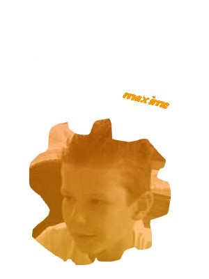 #### maxiime ####